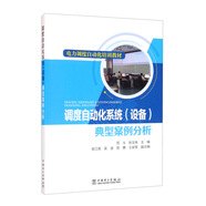 電力調(diào)度自動化培訓(xùn)教材：調(diào)度自動化系統(tǒng)（設(shè)備）典型案例分析
