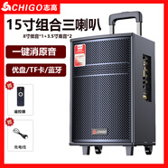 志高（CHIGO）廣場舞藍(lán)牙音箱低音炮戶外大音量戶外K歌變音聲卡音響彈唱 15英寸藍(lán)牙音響旗艦版
