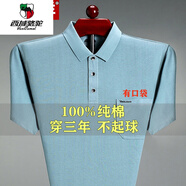 西域駱駝（VANCAMEL）高檔夏季棉短袖t恤男士寬松口袋體恤翻領(lǐng)中老年爸爸裝polo汗衫 HX-7586:湖蘭色 180/2XL建議155-170斤