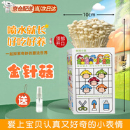 iosn蘑菇種植包兒童種植蘑菇小盆栽學(xué)校桌面趣味神奇植物家庭菌菇菌包 【禮盒裝】金針菇-送噴壺 【兒童趣味丨輕松養(yǎng)活丨可食用】