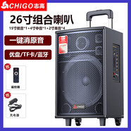 志高（CHIGO）廣場舞藍牙音箱低音炮戶外大音量戶外K歌變音聲卡音響彈唱 26英寸重低音藍牙音響升級版