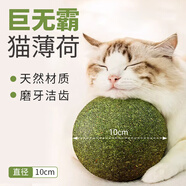 歡寵網 貓玩具貓咪貓薄荷球貓磨牙棒逗貓棒自嗨神器解悶木天蓼貓草粉貓零食蹭癢耐啃咬貓貓小貓幼貓寵物用品