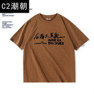 C2潮朝樂隊的夏天同款周邊野孩子樂隊后海大鯊魚馬賽克木馬搖滾短袖t恤 蜜茶棕-后海大鯊魚 S 165