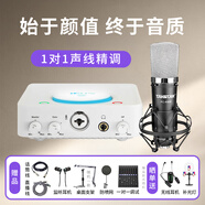 艾肯白色U Solo外置聲卡電腦手機(jī)通用主播直播錄音K歌麥克風(fēng)話筒聲卡設(shè)備套裝 U Solo+得勝K600