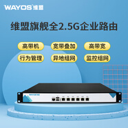 維盟（wayos）GK軟路由器千兆2.5G企業(yè)級商用路由器SD-WAN異地監(jiān)控組網(wǎng)寬帶疊加出租屋pppoe智能流控策略路由 【帶機量500】全2.5G企業(yè)路由