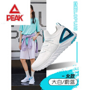 匹克態(tài)極1.0PLUS科技跑鞋減震運(yùn)動(dòng)鞋男女情侶鞋輕便休閑鞋透氣 大白/尉蘭 【女】 34
