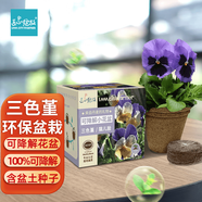 IAM City Farmer三色堇 可降解花盆環(huán)保套裝網(wǎng)紅植物進(jìn)口花種子室內(nèi)陽(yáng)臺(tái)種植10047