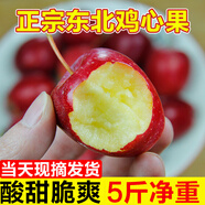 菓靈稥【現貨】東北雞心果小蘋(píng)果錦繡海棠果沙果新鮮水果甜脆 5斤大果 甄選裝 商超品質(zhì)