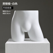 內(nèi)衣模特展示架服裝店男女半身聚攏文胸模特模特架子假人體拍攝道具 男臀模白