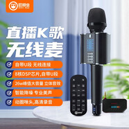 屁顛蟲（Hifier） G20無線話筒音響一體麥克風(fēng)全民K歌手機(jī)直播聲卡套裝家庭KTV汽車唱歌帶U段 G20直播版+抖音小神器