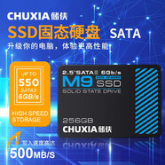 儲俠（CHUXIA） 存儲小容量 SSD固態(tài)硬盤2.5sata3筆記本臺式電腦升級M9系列高速讀寫 【256GB】讀550MB/S 寫500MB/S