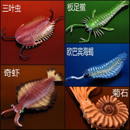 林暢模玩寒武紀奧陶紀生物兒童玩具仿真早教動(dòng)物模型史前時(shí)代海洋遠古巨獸 菊石+奇蝦+三葉蟲(chóng)+歐巴賓+板足鱟