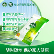 滴露（Dettol）便攜衛(wèi)生濕巾濕紙巾兒童殺菌99%除菌母嬰家居清潔小包裝消毒濕巾 普通裝濕巾10片*8包