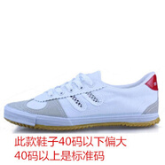 【五米三項(xiàng)專用鞋】五米三向折返跑鞋運(yùn)動(dòng)鞋戶外鞋男女鞋帆布鞋休閑鞋軟底田徑 白fFF 36