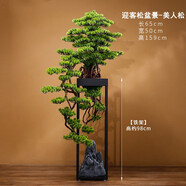 桔梗謠 仿真迎客松擺件崖柏羅漢松盆景大型仿真綠植物落地?cái)[件客廳辦公室酒店售樓部過道裝飾品假樹盆栽造景 仿真迎客松盆景-美人松（左）
