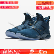 耐克（NIKE）LeBron Soldier詹姆斯AO4055戰士士兵12代迷彩002籃球鞋001 AO4055-400菲律賓 44.5
