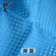 靈蘭 透明格子歐根紗韓版 雪紡女刺繡鏤空布料 服裝面料 裙子夏季布料 湖藍