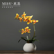 蘇適中式仿真蝴蝶蘭花藝套裝擺件創(chuàng)意客廳餐桌假花桌面小盆栽裝飾 白瓶+黃色蝴蝶蘭套裝