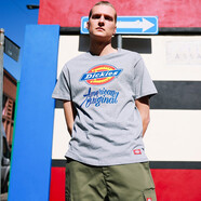 dickies 純棉短袖T恤男 情侶男女同款 印花休閑百搭上衣7087 中羽灰 XL