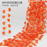 八千城仿真綠植藤條葡萄葉水管道裝飾塑料假花葡萄藤蔓物葉子吊頂裝飾 36葉紅楓葉（12條裝）