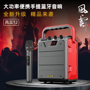 維爾晶（W-King）T2 便攜式手提藍牙音箱移動(dòng)戶(hù)外大音量唱歌教學(xué)小蜜蜂 T2  紅色  單麥