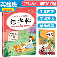 實(shí)驗(yàn)班學(xué)霸提優(yōu)練字帖六年級上冊 同步練字帖六年級上冊語文人教版寫字課課練生字規(guī)范練詞語強(qiáng)化練 樂學(xué)熊