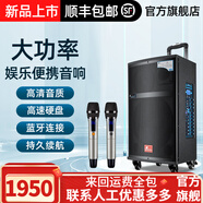 丹嘜仕（Danms） 原裝戶外拉桿音箱三分頻專業(yè)大功率舞臺音響無線藍(lán)牙直播廣場舞音響套裝15英寸木質(zhì)音箱 810 (10寸 三分頻) 大禮包