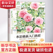 水彩萌新入門教程 中國水利水電出版社 飛樂鳥 著 書籍 圖書