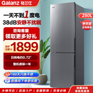 格蘭仕250升雙開門電冰箱小型家用節(jié)能兩門二門節(jié)能 小戶型家用租房辦公 冷凍分儲(chǔ) 250L雙門冰箱