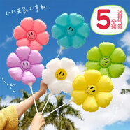 全品屋 春游野餐彩色小雛菊太陽(yáng)花笑臉氣球掛布場(chǎng)景布置帶桿生日派對 笑臉雛菊小花-5個(gè)混裝-送氣筒