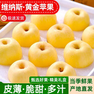 騎猴趕馬山東威海黃金維納斯蘋果禮盒裝脆甜應(yīng)季新鮮水果孕婦奶油萍果 凈重4.5斤【單果80-85mm】果農(nóng)甄選老樹果 團(tuán)購(gòu)/售后詳詢客服