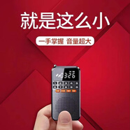 樂(lè )廷新款迷你收音機多功能藍牙插卡播放器老年人半導體手電筒調頻廣播 標配 金 +8G內存卡+點(diǎn)歌本+耳機