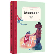 矢車菊街的小王子（奇想文庫第一輯） 精裝 低年級(jí)適讀 2018中國童書榜百佳童書