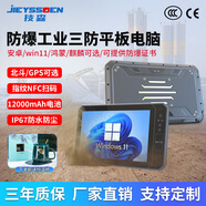技森三防工業(yè)平板電腦防爆防水塵安卓一體機加固掃碼指紋手持工業(yè)平板pad工業(yè)一體機win11三防平板定制 10.1英寸-輕便版 i7-10510Y/Win11/16G+256G