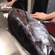 隆港匯三文魚輪切整條中段 新鮮日式料理冰鮮魚 整條刺身背肉生魚片 金槍魚 5kg -6kg