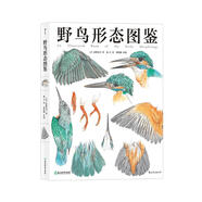 野鳥形態(tài)圖鑒