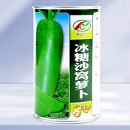 大禹正宗天津沙窩蘿卜種子大全農(nóng)科院四季水果冰糖心青羅卜籽夏天秋季 冰糖沙窩水果蘿卜種子50g桶裝