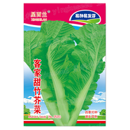 各種蔬菜種子大全菜園四季秋孑香菜蘿卜白菜番茄生菜蔥菠菜籽 翠綠色 客家甜竹芥菜400粒