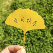 刻字定制diy雕刻真樹(shù)葉高顏值創(chuàng  )意書(shū)簽生日節日禮物同學(xué) 主圖款 刻字+塑封款