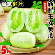 土地母親計(jì)劃 圣女果水果黃瓜小柿子千禧小西紅柿茄瓜果小黃瓜小青瓜代餐輕食 5斤 拇指玉女黃瓜
