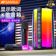 山水（SANSUI）V5Plus話(huà)筒音響一體麥克風(fēng)全民K歌藍牙音箱顯示歌詞兒童拉卡ok家庭ktv套裝 雙話(huà)筒【黑色】