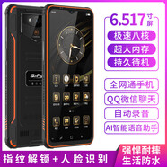 捷語(yǔ) GOFLY  紅鯊6P智能5G手機防爆屏戶(hù)外三防手機智能小愛(ài)同學(xué)生機防水 橙色5G(通)10+256