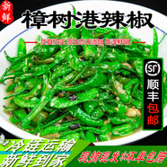 正宗湖南樟樹小辣椒新鮮青辣椒現(xiàn)摘虎皮薄皮嫩青椒白辣椒卜辣椒 新鮮辣椒【 3斤 】 樟樹港小辣椒