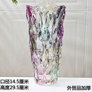 石子樹態(tài)生活北歐風(fēng)輕奢水晶玻璃花瓶透明適合富貴竹高級(jí)感輕奢客廳擺件 200230-1炫彩送花瓶墊