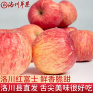 天天惠鮮達(dá)陜西洛川紅富士時(shí)令蘋果水果禮盒裝脆甜冰糖心蘋果生鮮水果新鮮 10斤70～75mm彩箱禮盒凈重8.5斤