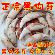 竹譽驍 正宗真黑狗牙齒飾品項鏈吊墜掛件 男女寶寶嬰幼兒童狼牙骨質(zhì) 黑狗牙已漂白很小牙2.5厘米1個裝