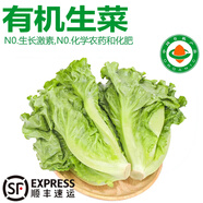 諸氏橙品【有機(jī)】意大利生菜 現(xiàn)摘葉菜 西餐沙拉生熟兩吃百搭新鮮蔬菜整箱 【精選有機(jī)生菜】2.4斤裝/小家庭