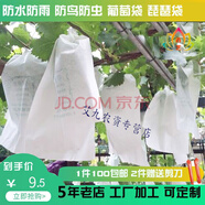西芝 葡萄套袋葡萄專用套袋育果袋紙袋葡萄袋子防水防菌葡萄袋防蟲(chóng)袋 22*32厘米套2斤內(nèi)葡萄【100個(gè)】