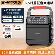 山水（SANSUI）SS20無線藍(lán)牙音響手提便攜家用戶外K歌演出廣場舞音箱大功率重低音大音量唱歌聲卡播放器 頂配版【送充電線 遙控器 肩帶】