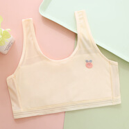 蘿蜜兔女童發(fā)育期內衣少女夏季薄款網(wǎng)眼透氣小背心7-14歲學(xué)生運動(dòng)文胸 膚色 均碼 L 【60-90斤可穿】